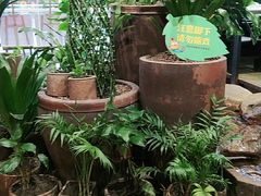 -老客家·客家菜(万达店)