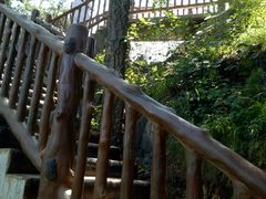 -塔云山