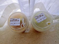 -咕摩柠·手打柠檬茶(金湖店)