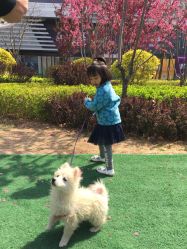 -萌宠亲子动物乐园(槐房万达店)