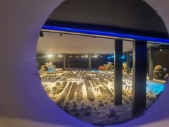 -中国（海南）南海博物馆
