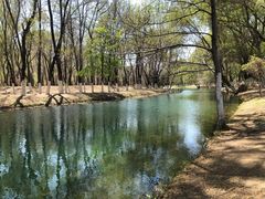 -长白岛森林公园