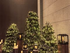 -上海柏悦酒店·世纪100牛排馆