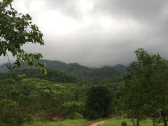 -田心森林公园