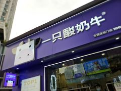 -一只酸奶牛(八一路店)