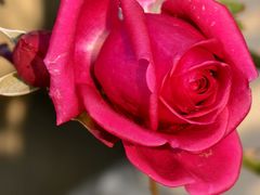 -成都当代影像馆