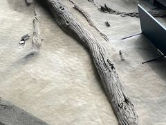 -金沙遗址博物馆