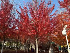 -辽宁大学(崇山校区)