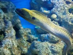 -福州罗源湾海洋世界旅游区