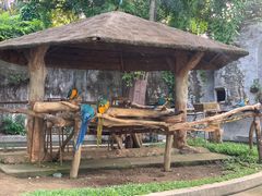 -清迈夜间动物园