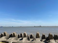 -上海滨江森林公园