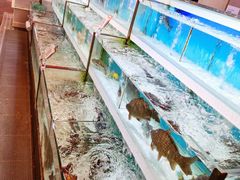 -盒马X会员店(王府井奥莱UP TOWN店)