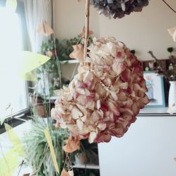 点击看大图 -笑美甲美睫工作室
