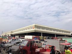 -海吉星市场