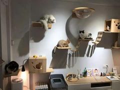 -花诺鲜花(北京路店)