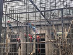 -石家庄市动物园