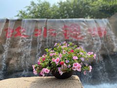 -卧龙湖