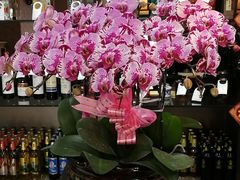 -浦江餐饮•上海菜馆(五四路店)