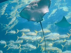 -珠海长隆海洋王国