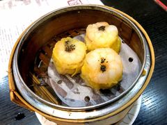 烧卖-糖朝(尖沙咀店)