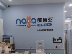 -纳吉亚猫专科动物诊疗中心(蒋宅口分院)
