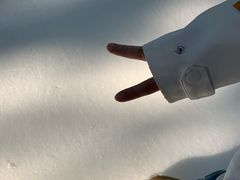 -世界之窗阿尔卑斯冰雪世界