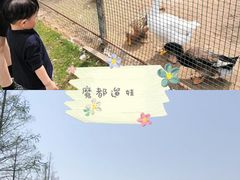 -前小桔亲子创意农场·草莓采摘·露营烧烤
