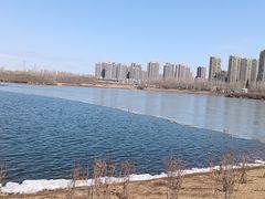 -丁香湖公园