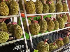 -榴莲BB 四季果园