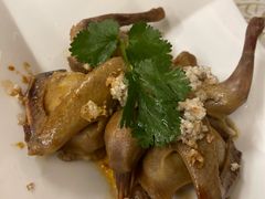 -百利鸽王(紫薇路店)