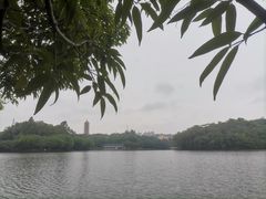 -三水森林公园