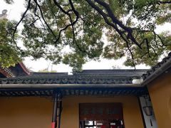 -西园戒幢律寺