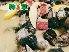 木瓜鸡-紫滇源云南生态菜(丹凤街店)