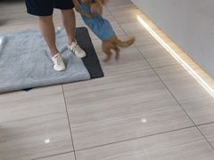 -申普宠物医院·眼科·心内科·影像科(普陀分院)