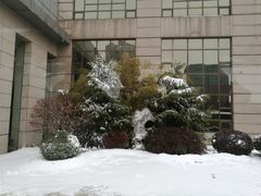 -南京钟山宾馆(江苏省会议中心)