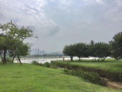 -鹤之洲湿地公园