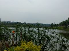 -枫香湖儿童公园