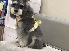-安安宠医宠物医院·异宠·犬猫内科(岳阳分院)