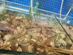 -深海聚汇·牛榴宴·自助料理(江宁万达店)