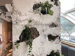 -农畉LONFOOD(福田星河COCOPark店)