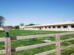 -北京群众马术培训基地