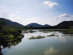 -风云岭森林公园