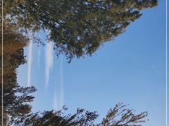 -野鸭湖国家湿地公园