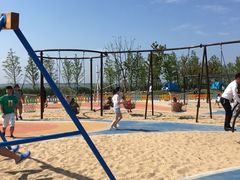 -春花秋色城市公园