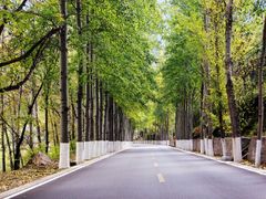 android_upload_pic-乌龙峡谷景区