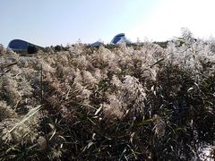 -哈尔滨大剧院