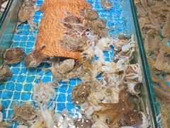 -日照海滨国家森林公园