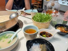 -洪氏嗨捞·猪肚鸡火锅(阳光天地店)