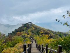 -大岭沟猕猴桃谷风景区