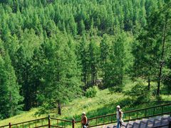 -莫尔道嘎国家森林公园